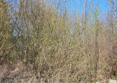 parcel for sale - Brwinów, Płocka